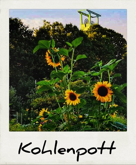 Blick auf den Bochumer Föderturm, im Vordergrund stehen Sonnenblumen. Kulinarische Handwerker präsentiert regionale und internationale Feinkost aus Food-Manufakturen