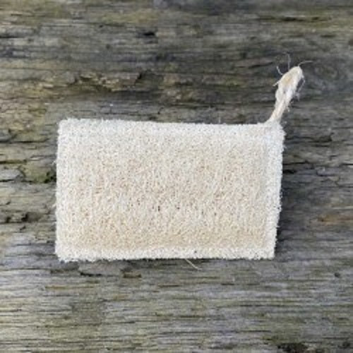 Spülschwamm aus Luffa als Alternative zu Plastikschwämmen.